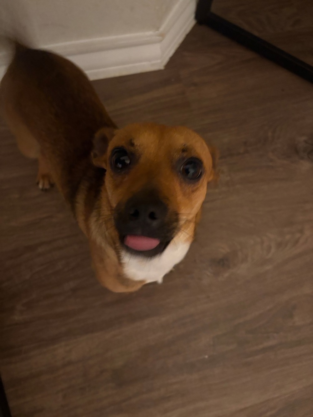 Meet your Posher, Briana